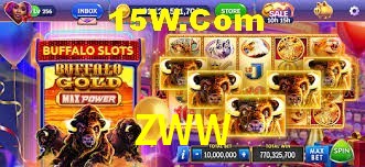 Experiência VIP ZWW